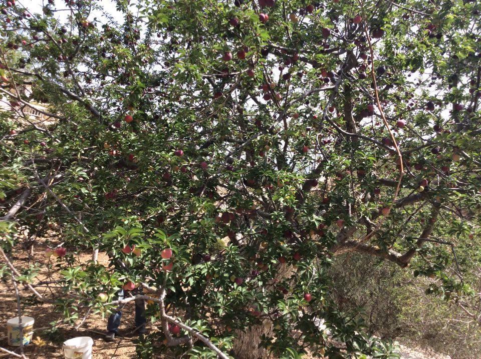La Villa Di Zazopetra Menetai ภายนอก รูปภาพ