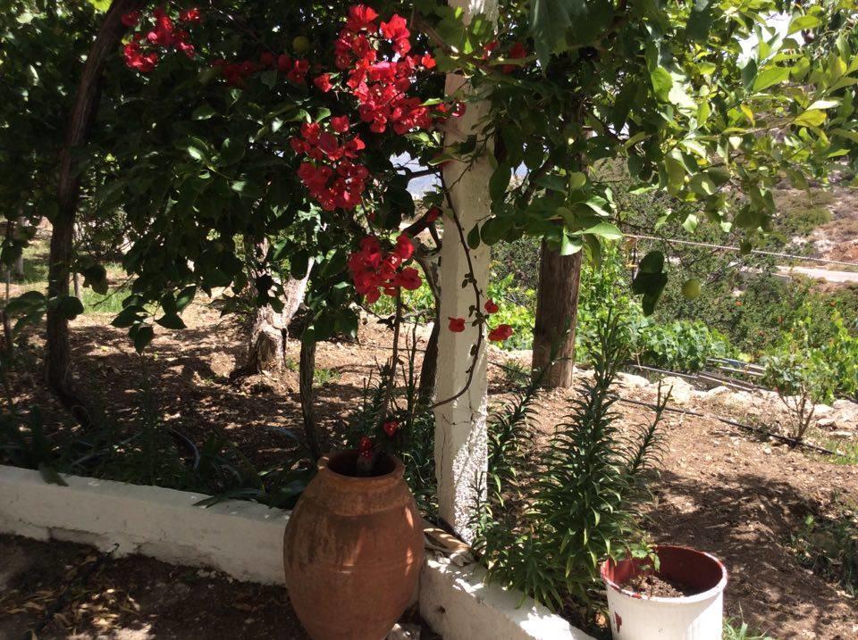 La Villa Di Zazopetra Menetai ภายนอก รูปภาพ