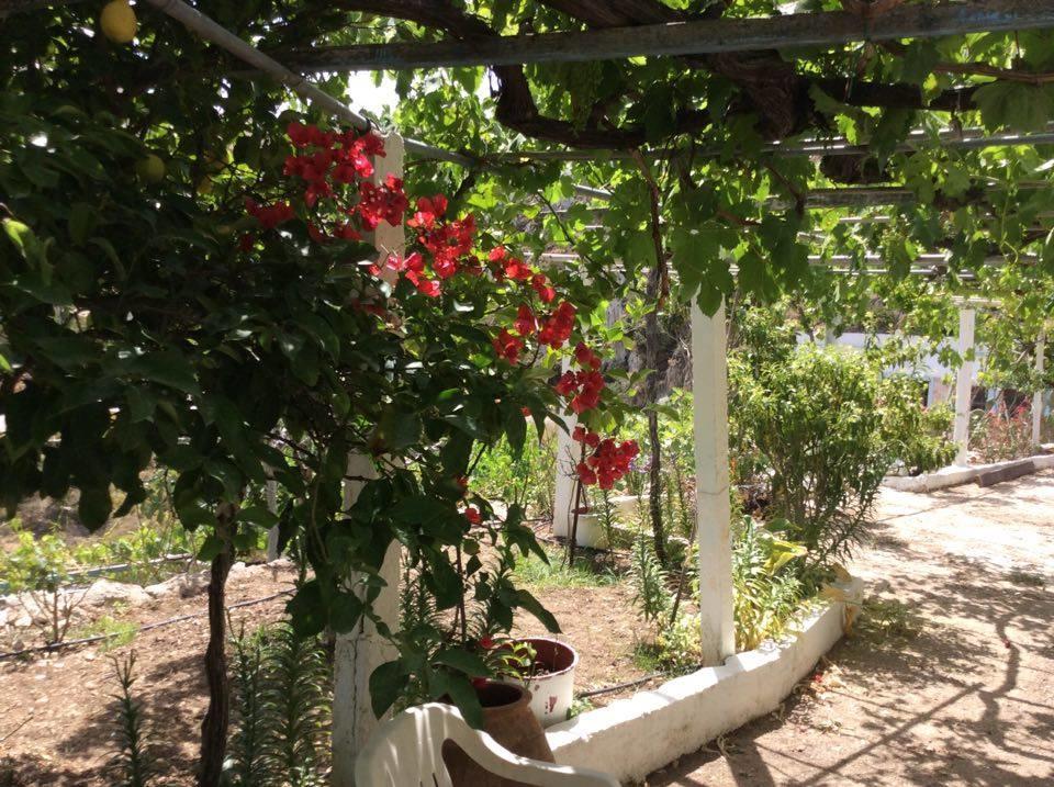 La Villa Di Zazopetra Menetai ภายนอก รูปภาพ